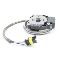 Bare ignition GP-Rok Jr