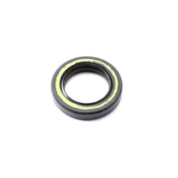 Oil seal FPJ 28x38x7