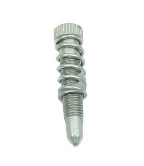 Adjustment gas valve screw kit
