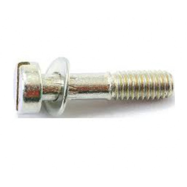Float chamber fixing screw