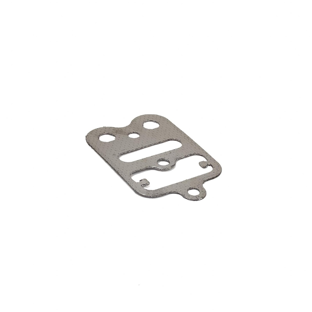 Briggs Cylinder Plate Gasket