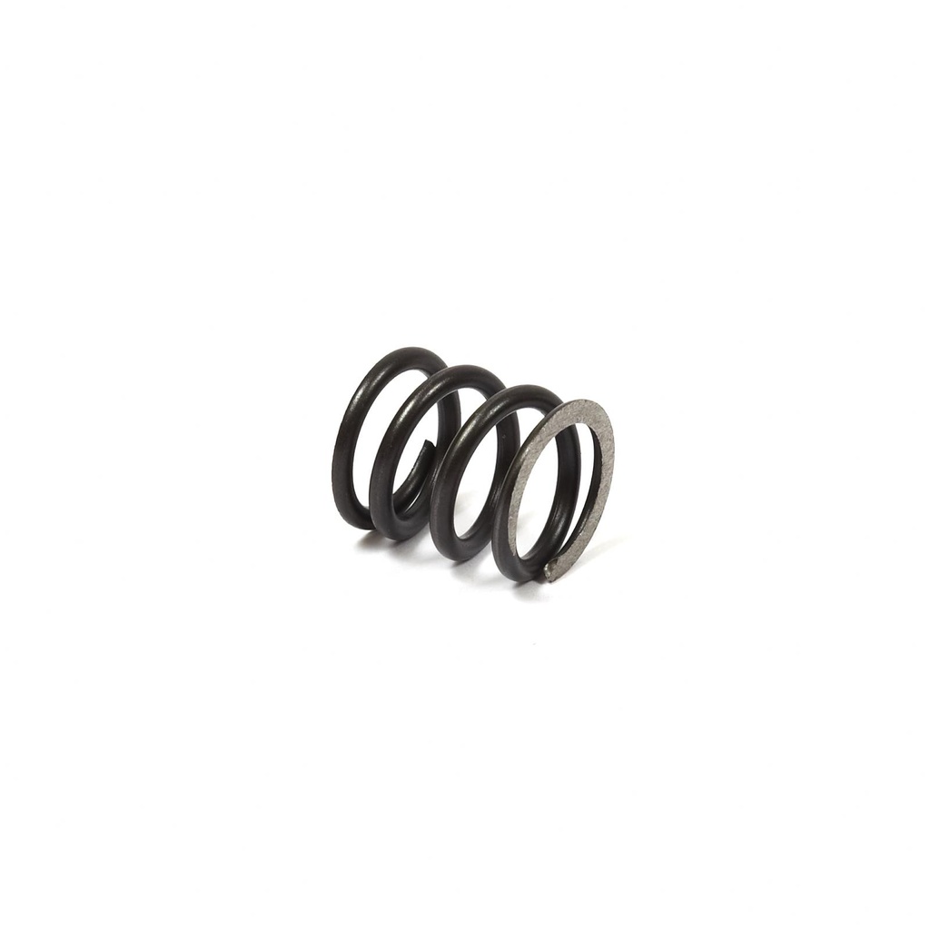Briggs Intake and Exhaust Valve Spring