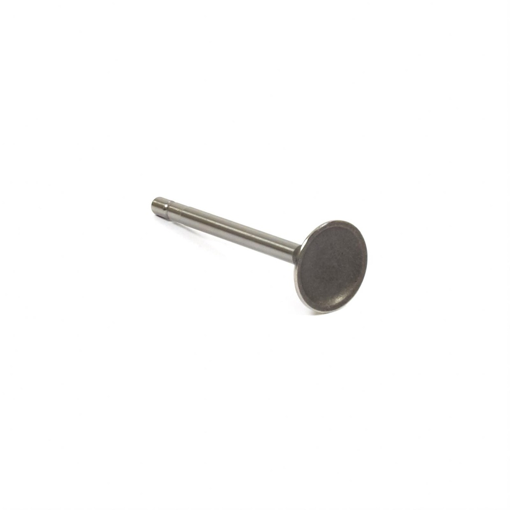 Briggs Intake Valve