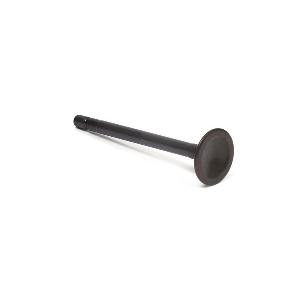 Briggs Exhaust Valve