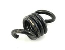 Premier Stinger Clutch Spring