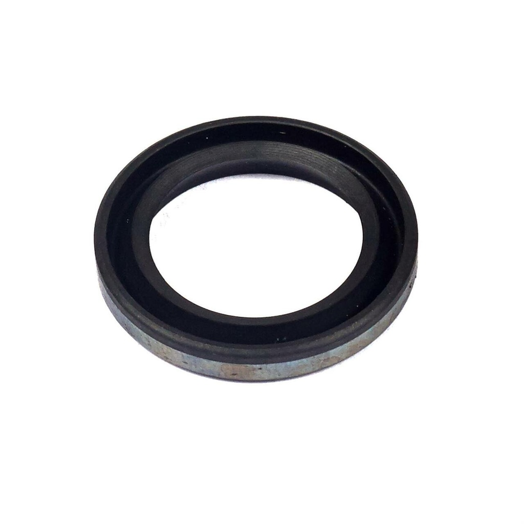 Briggs Oil Seal Magneto Side