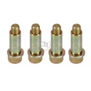 Righetti Front Brake Caliper Screw Kit