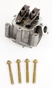 Animal Cylinder Head Assembly