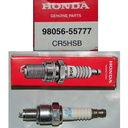GXH50 Spark Plug