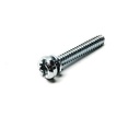 Fuel Pump Body Screw