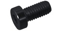 Low Head Socket Cap Screw M8-1.25x25