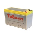 Life PO4 Lithium TAG Kart Battery