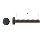 Hex Head Bolt