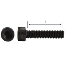 Socket Head Bolt