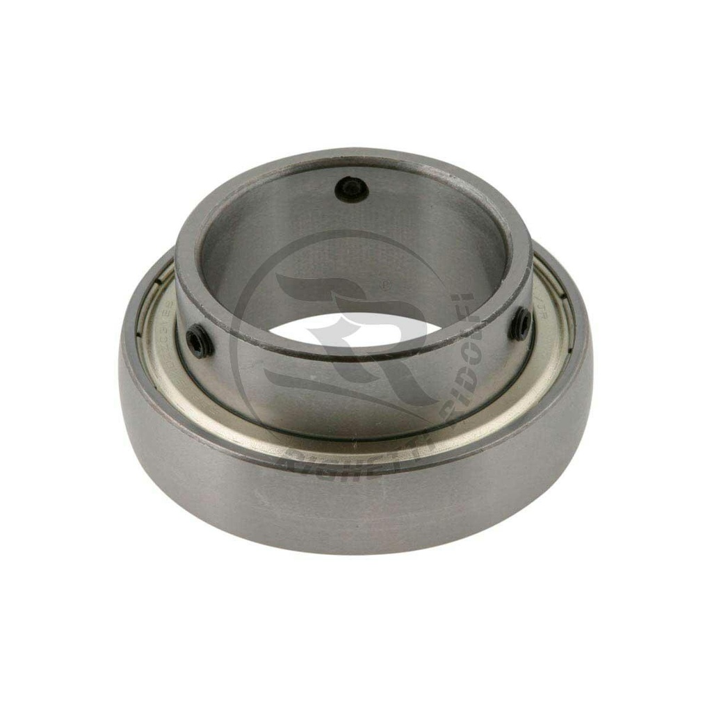Righetti Ridolfi Axle Bearings
