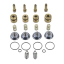 COMPLETE KIT OVERHAULING FOR REAR CALIPER SPEED