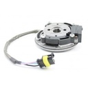 Bare ignition GP-Rok Jr