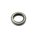 Oil seal FPJ 28x38x7