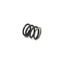 Briggs Intake and Exhaust Valve Spring